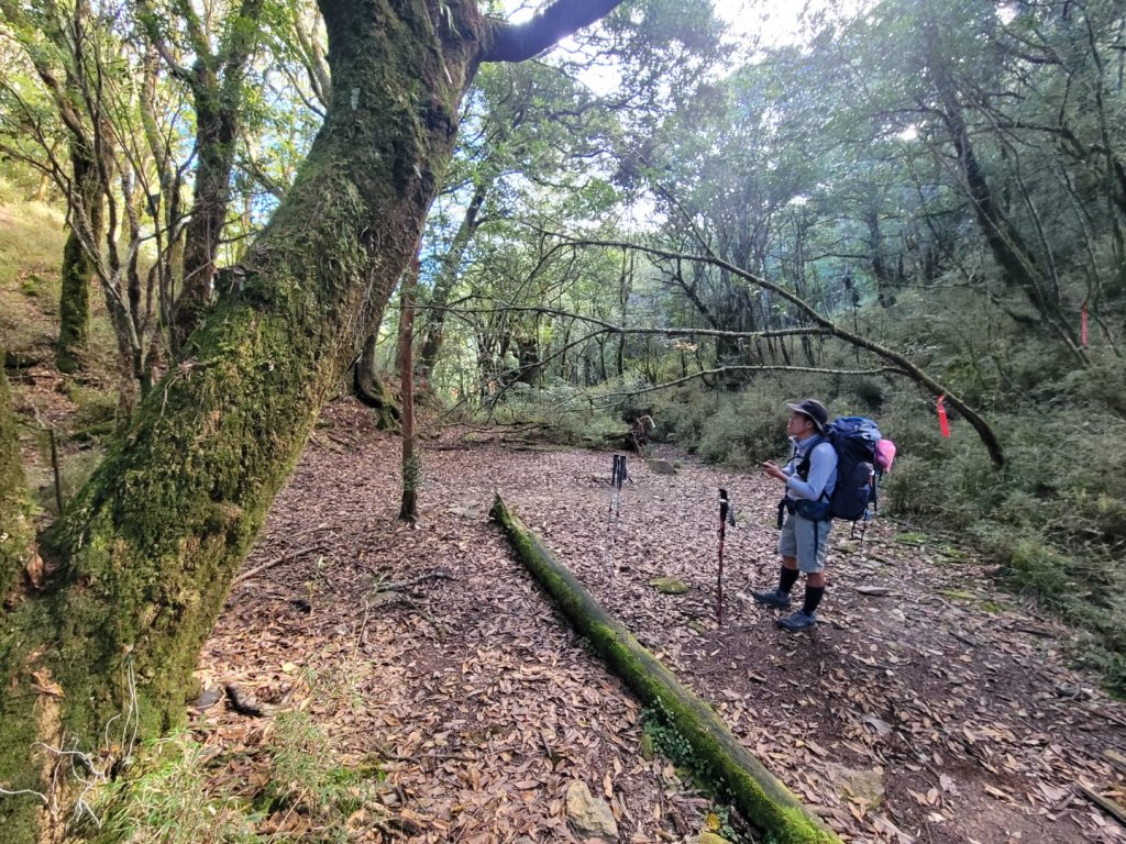 20231103 南一段四天_2356045