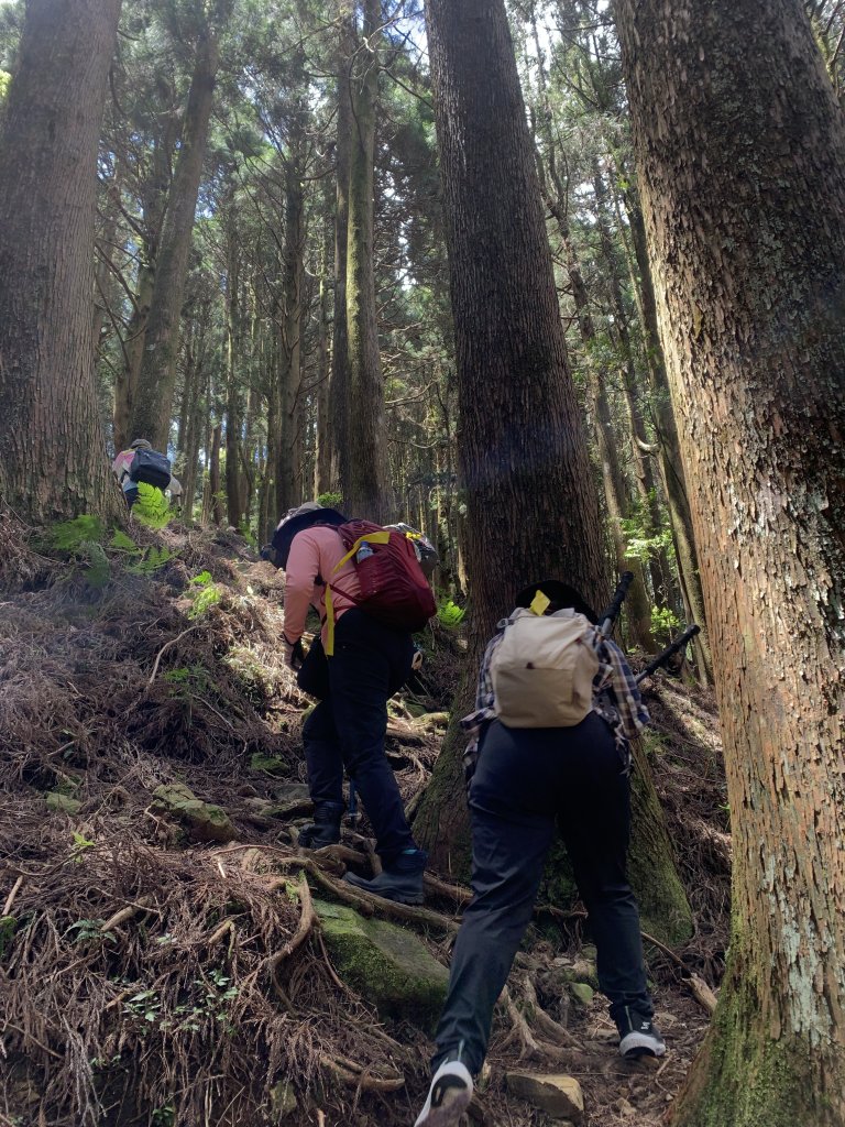 20250517義義兒玉山-東水山_2791635