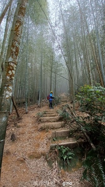 【南投魚池】中部四大名山之山高路遠。 水社大山登山步道_2037932