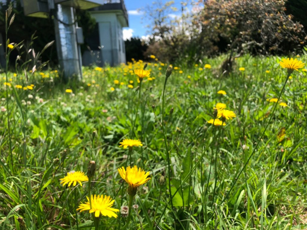 立鷹山.合歡北峰+合歡西峰【全力以赴解鎖_979637