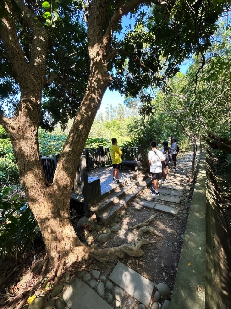 烏日 知高圳步道_2642091