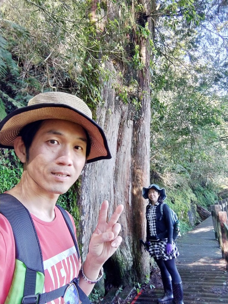 檜山巨木群步道_1662812