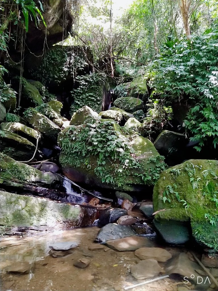 銀河洞步道親子遊_1078330