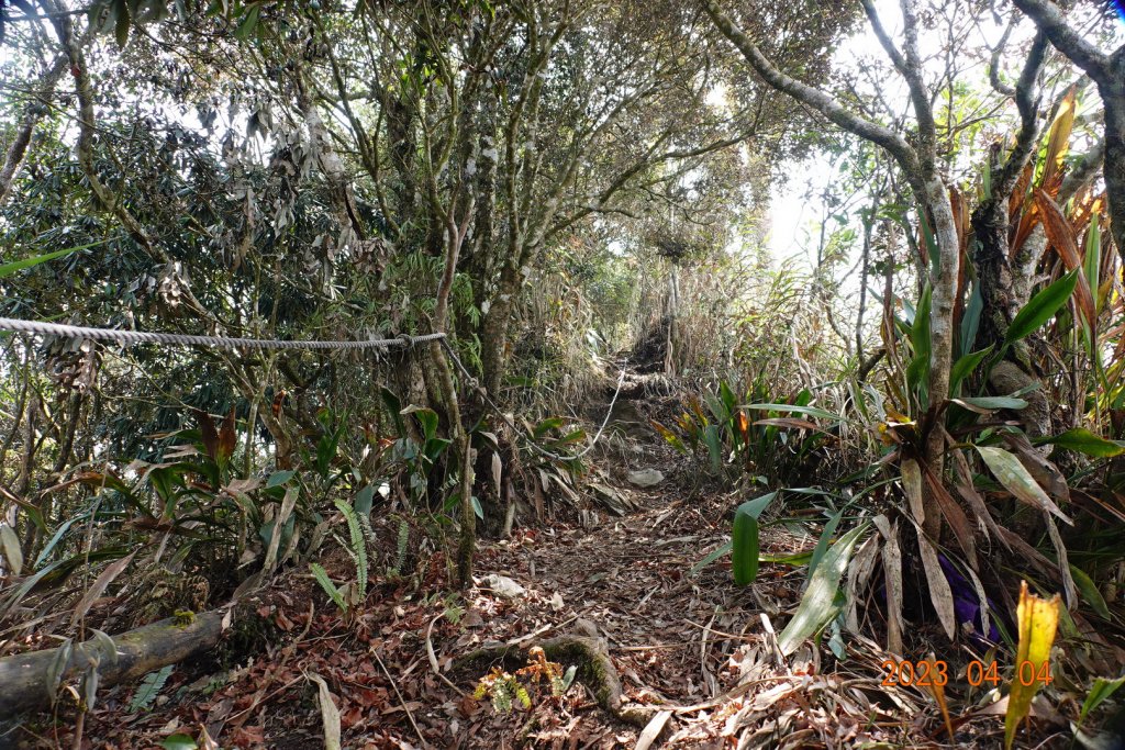 屏東 瑪家、泰武 真笠山、鱈葉根山、日湯真山_2103133