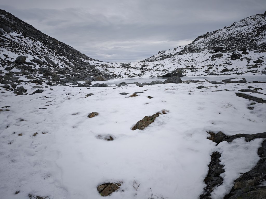 [紐約馬之行-46] 2025_1108 努克環狀步道 3/5_2951396