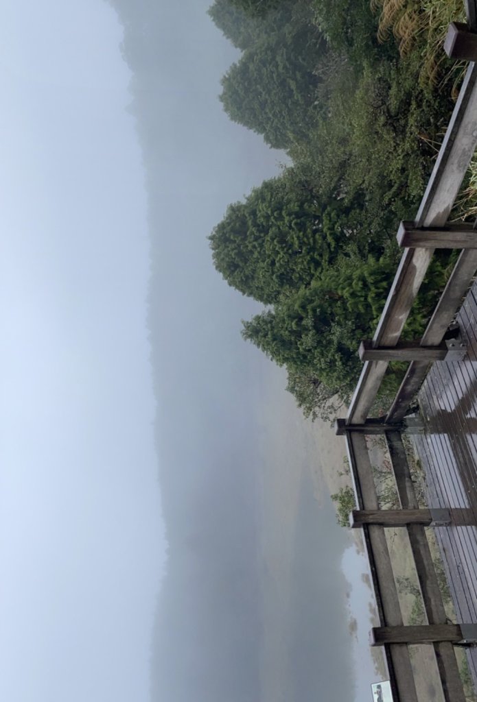 20231030-31太平山國家森林遊樂區_2425889