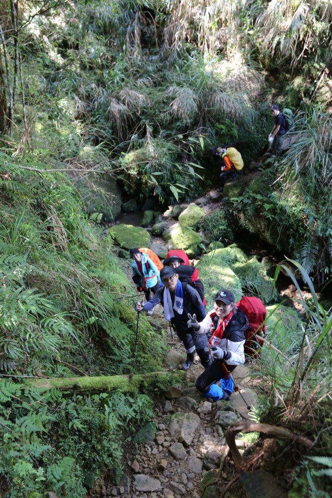 水樣森林 第一次在山裡過夜_659293