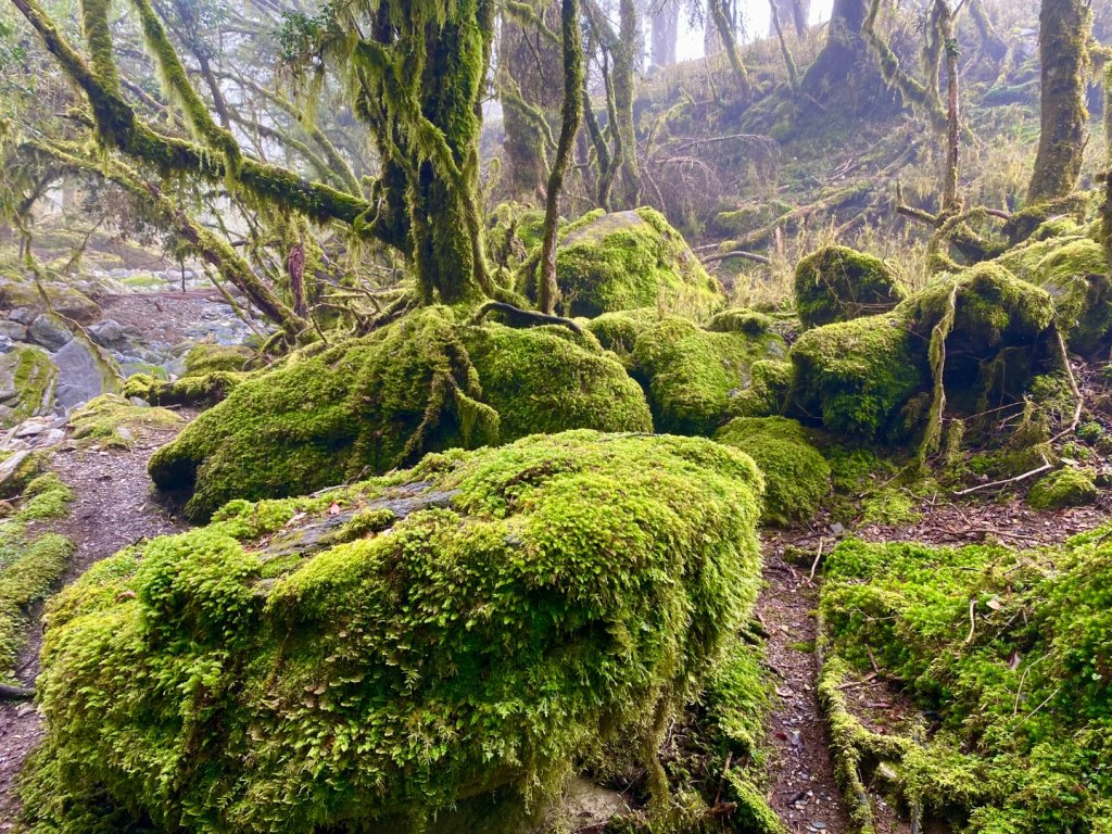 啟動高山度假模式~金牌三小隊之馬博橫斷8日_2965136