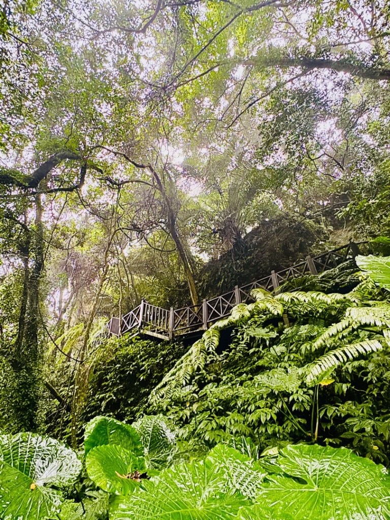 獅山 六寮古道 獅頭獅尾走一圈_2992455