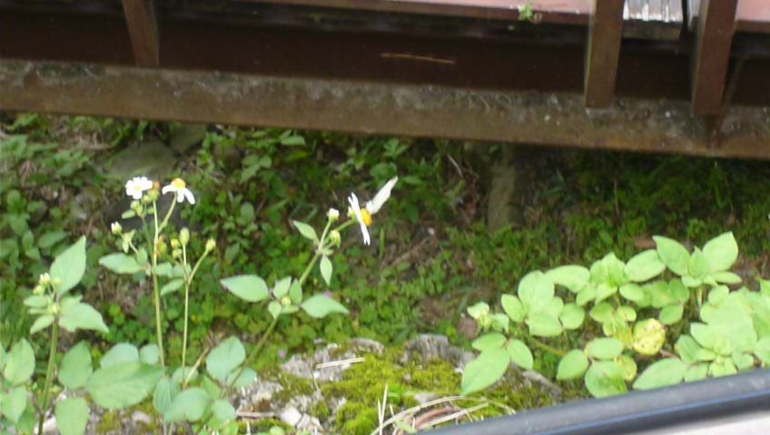 小烏來風景區_904722