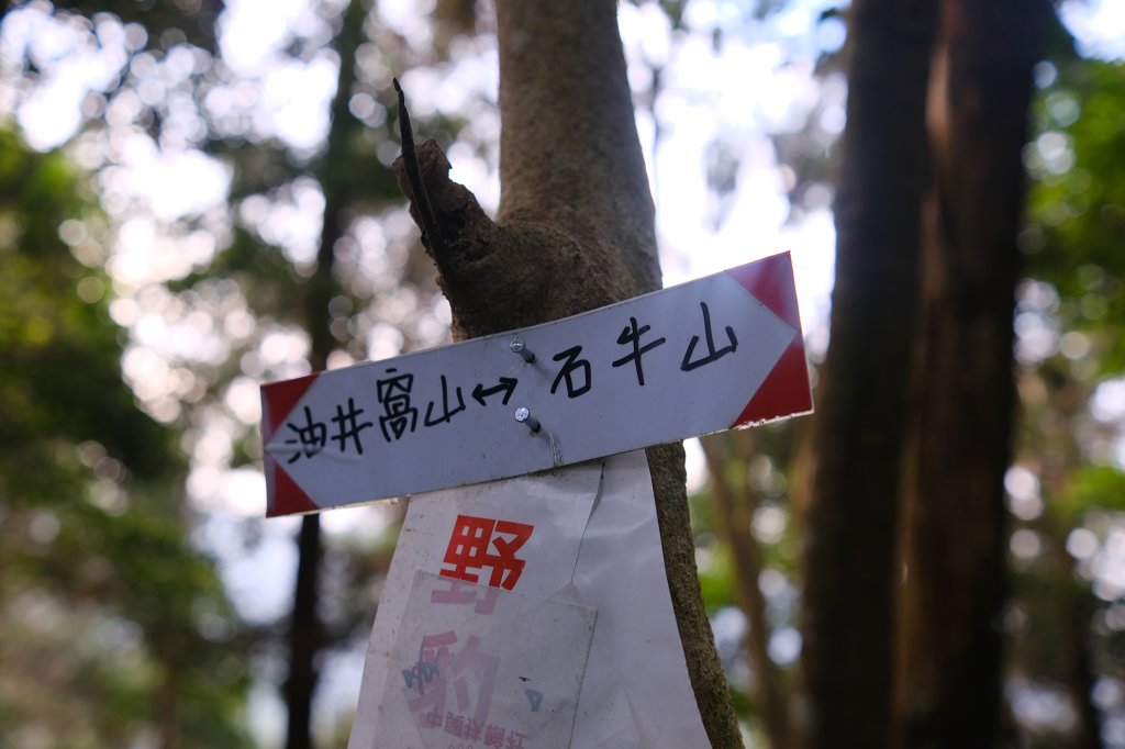 雙石縱走_2771130