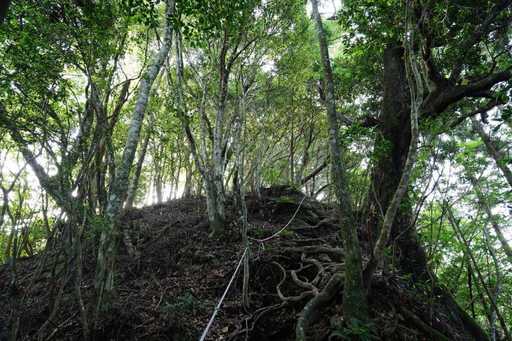 新竹 五峰 油羅山、霞山_2798239