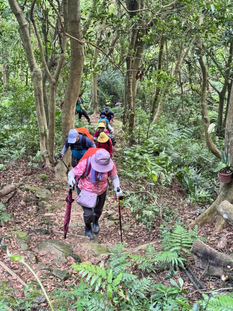 大艽芎古道縱走 新/溪州山(小百岳#23) 出溪州公園_2893883