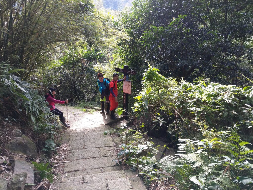 冷水坑-擎天崗環狀步道(竹嵩山)-風櫃嘴_821138