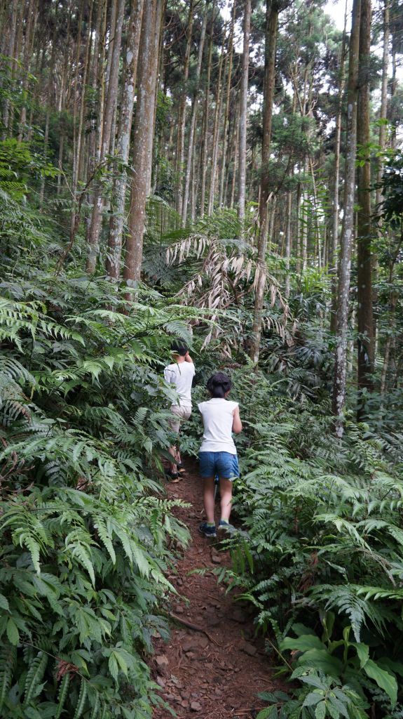 向天湖山之趣_399971