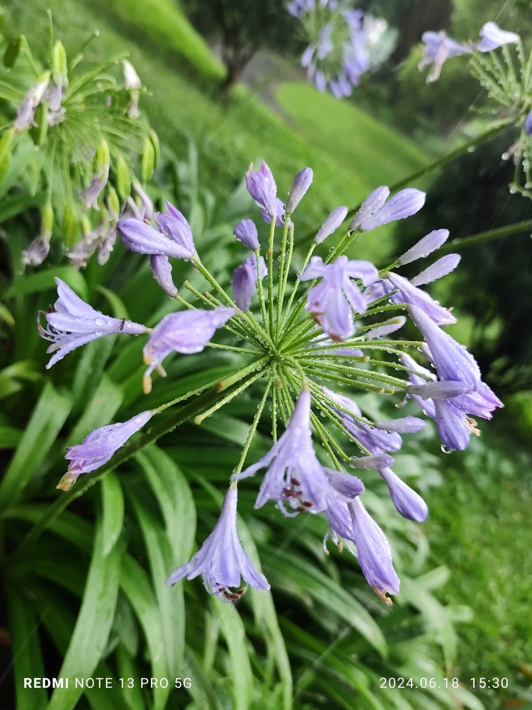 圓山花博健走步道、中山區上班族健走步道、臨濟護國禪寺【走路趣尋寶，全臺齊步走】_2530380