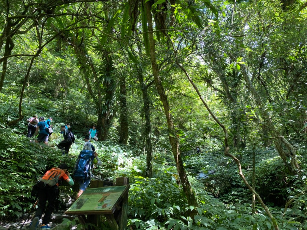 步道巡訪員 l 聖母登山步道109年七月份巡訪_1052982