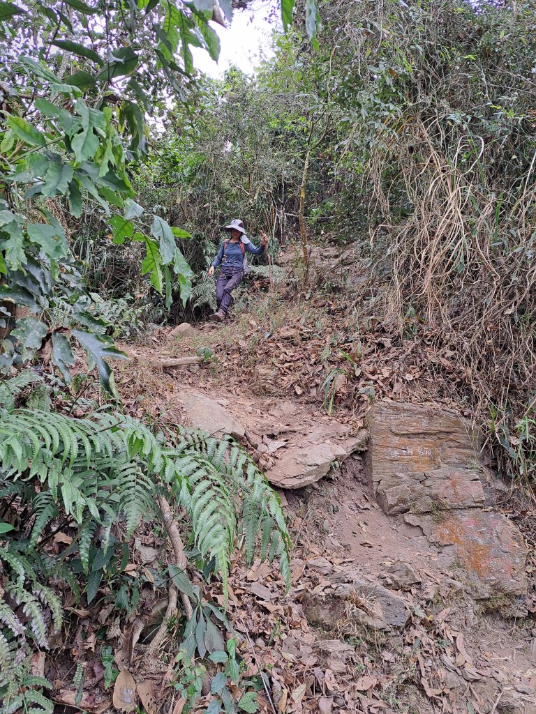 鱈葉根山+真笠山+白賓山縱走(救援中繼站起登)20230227_2046041