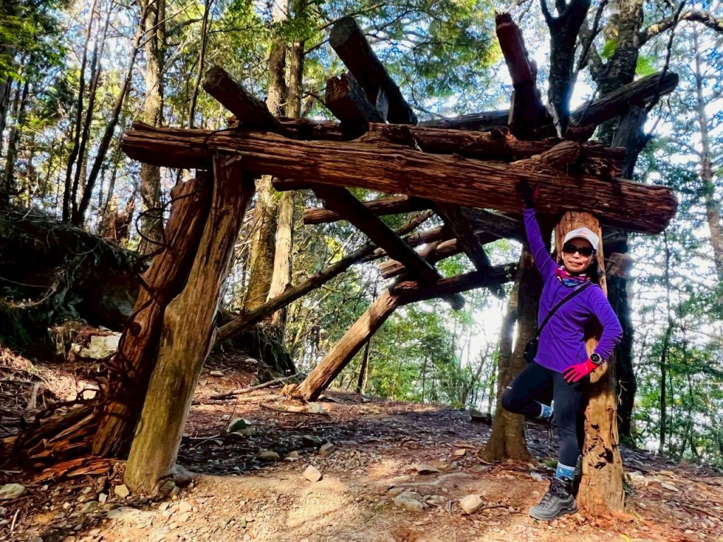 🌈11/15（六）松鶴上八仙山下森林遊樂區✨FB：熊熊趴爬走🌈_2937662