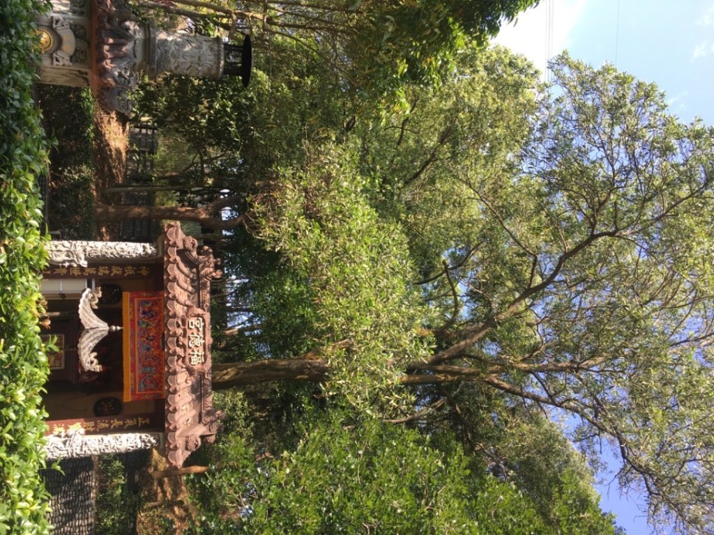 福氣步道、養生步道、長庚養生文化村_2441884