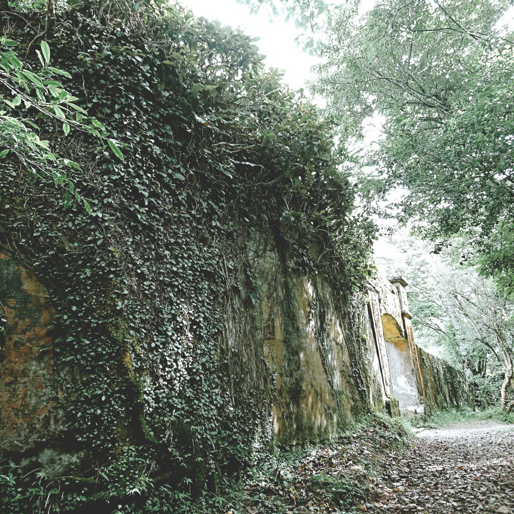 李崠山封面圖