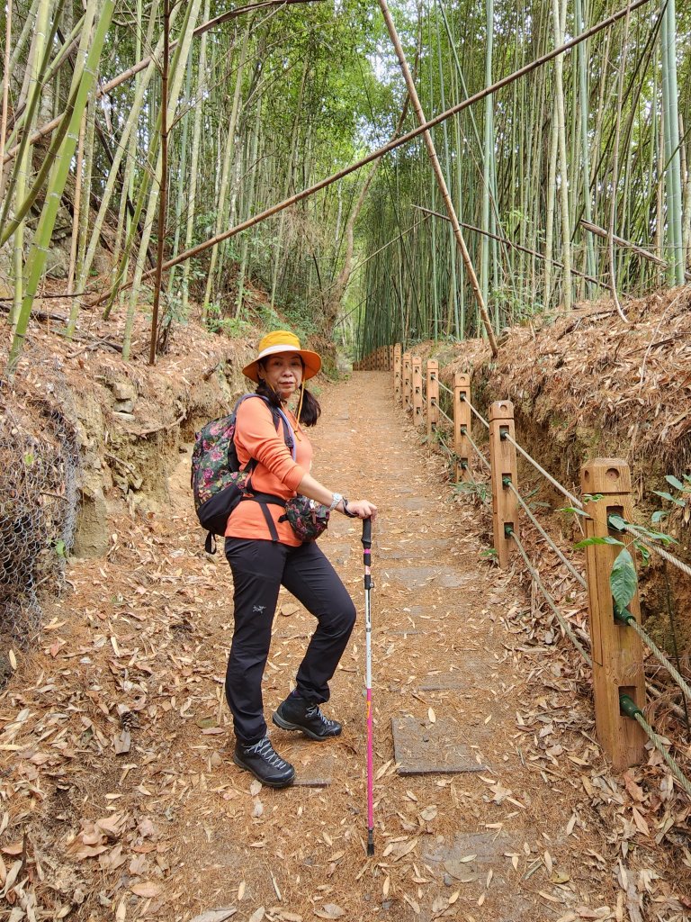 112/2/11芝生毛台山、屯野生炮台_2148010