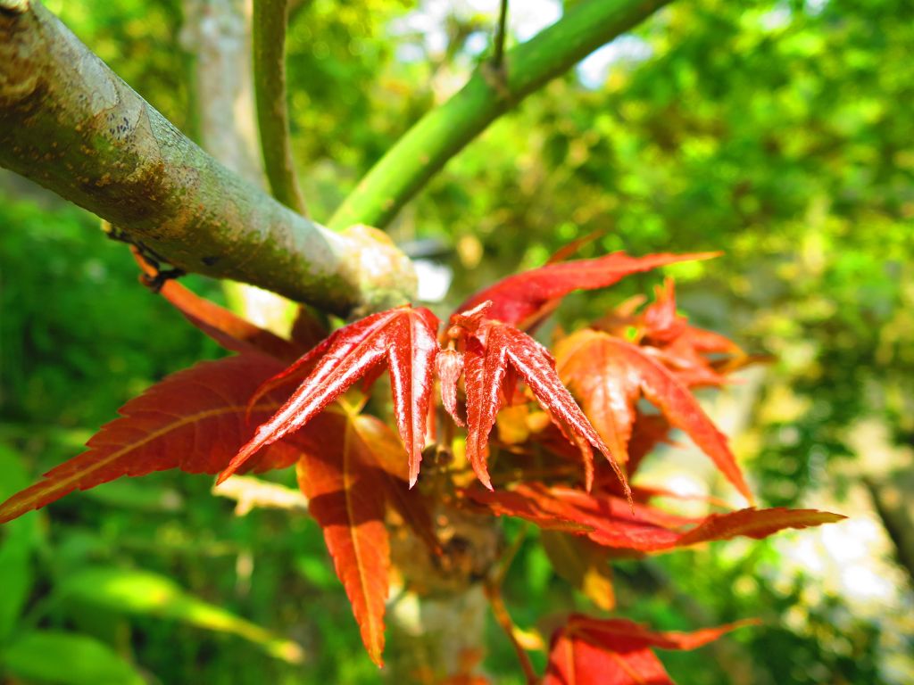 漫步大崎頭步道 一探台北市梯田美景_290943