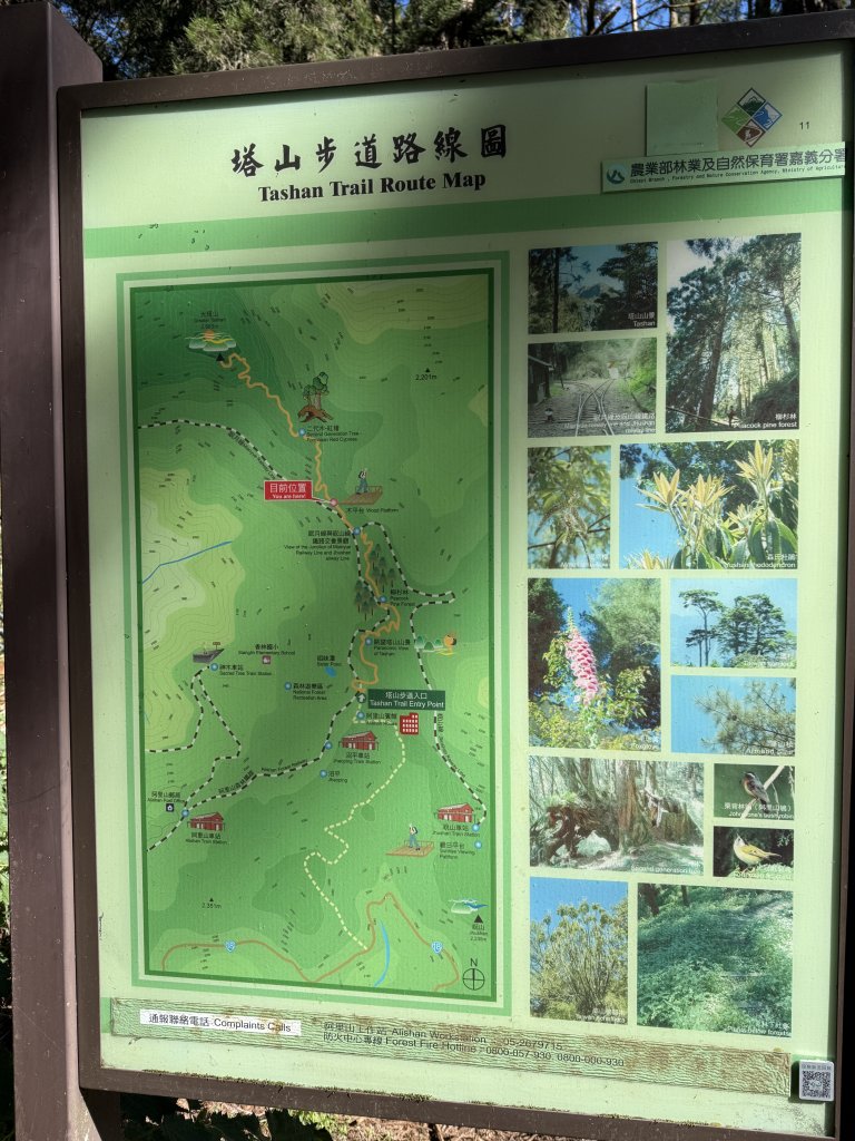 1141215大塔山步道_2996121