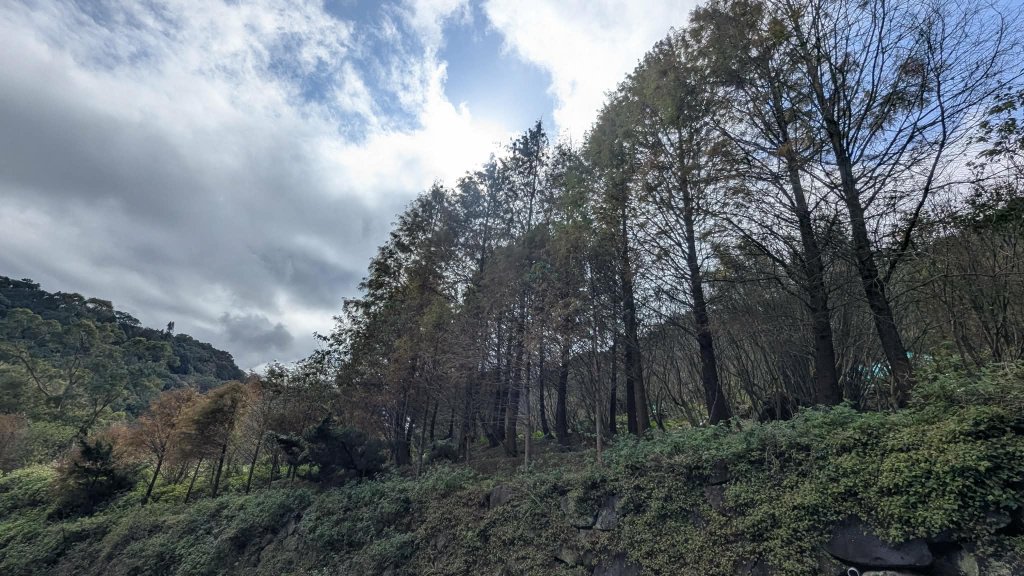 114.12.27尖山-40砲陣地之旅_2971715