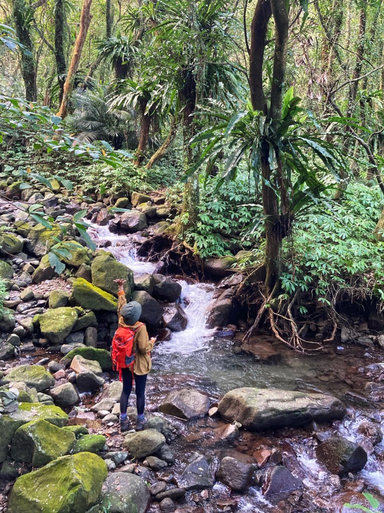 陽明山神秘綠境 • 鹿角坑保護區_2038611