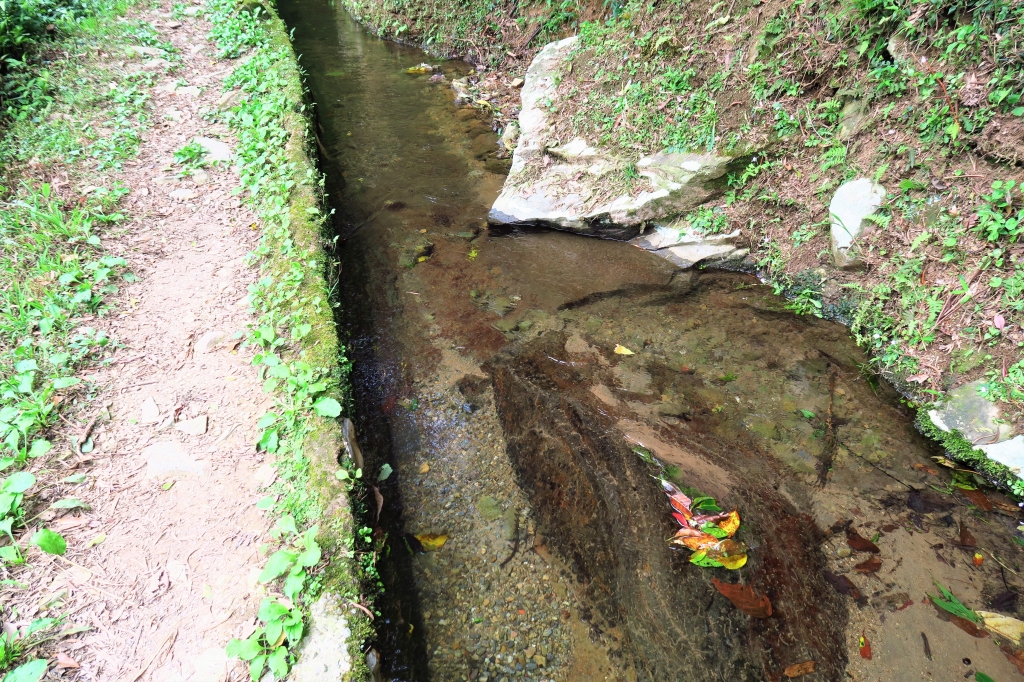 坪頂古圳親山步道－平等里大樹下_44165