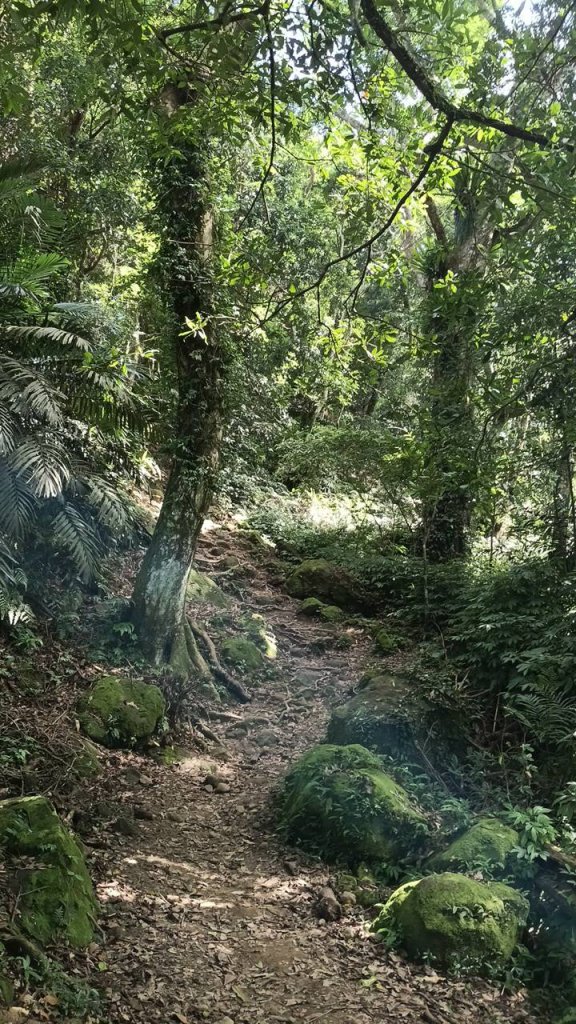20251004 馬那邦山 - 珠湖 登山口_2904928