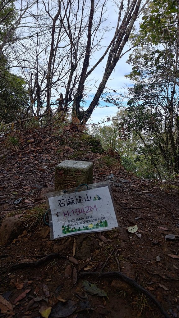 屯野生台山、石麻達山_2993177