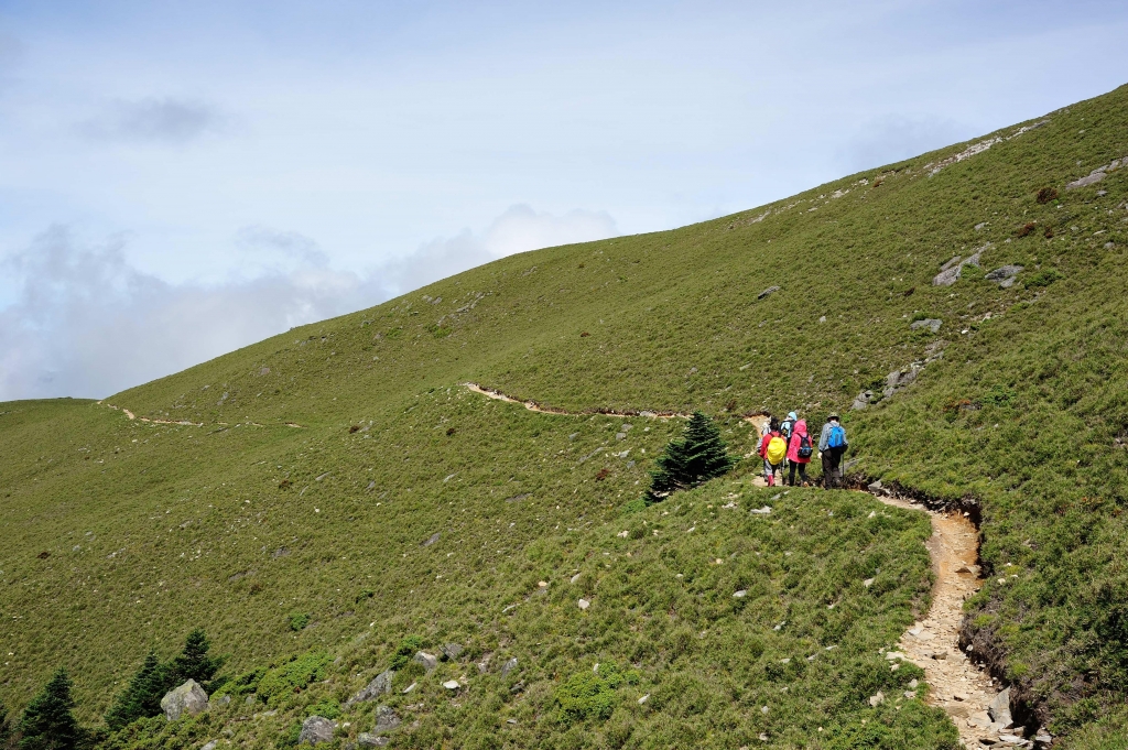 天使的眼淚_7888