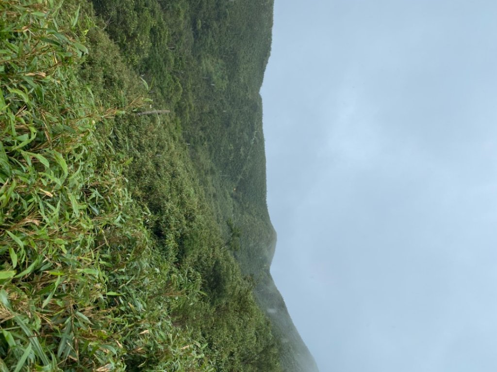 步道巡訪員 l 聖母登山步道109八月份巡訪_1085487