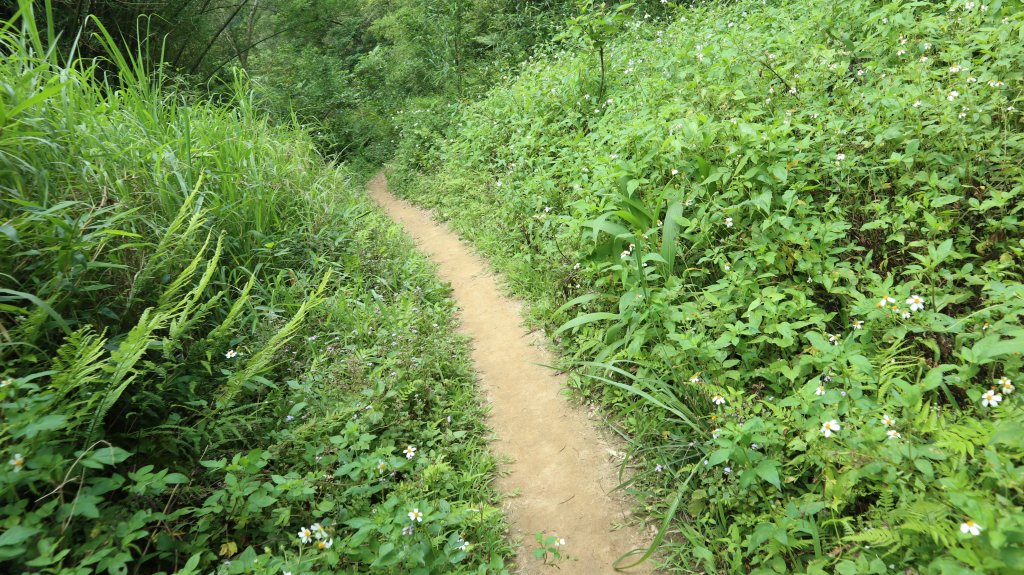 雙石縱走登山健行趣(小百岳24號&25號)_2169433