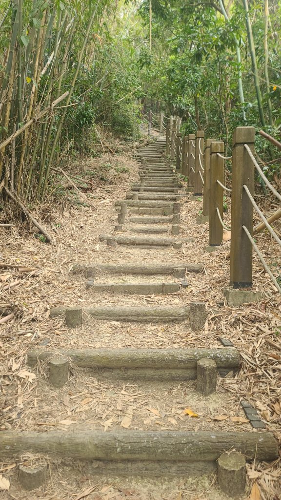 2025-0208聚興山小百岳_2710855