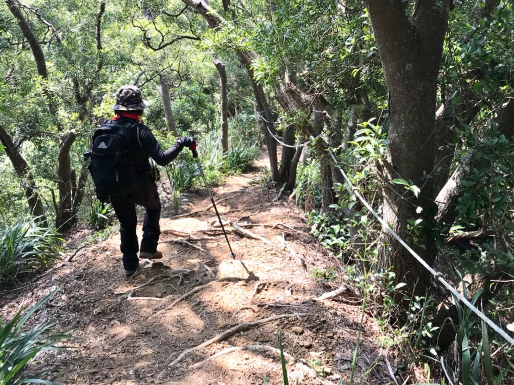 龍鳳連稜少隻鳳_1664369