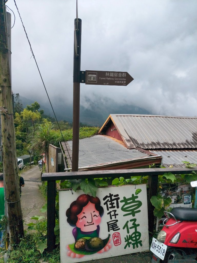 阿里山森林小火車_2865192