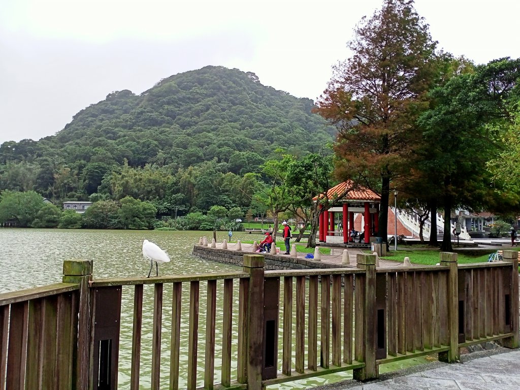 大溝溪生態治水園區、大湖公園 (防災公園) 【走路趣尋寶】_1898063