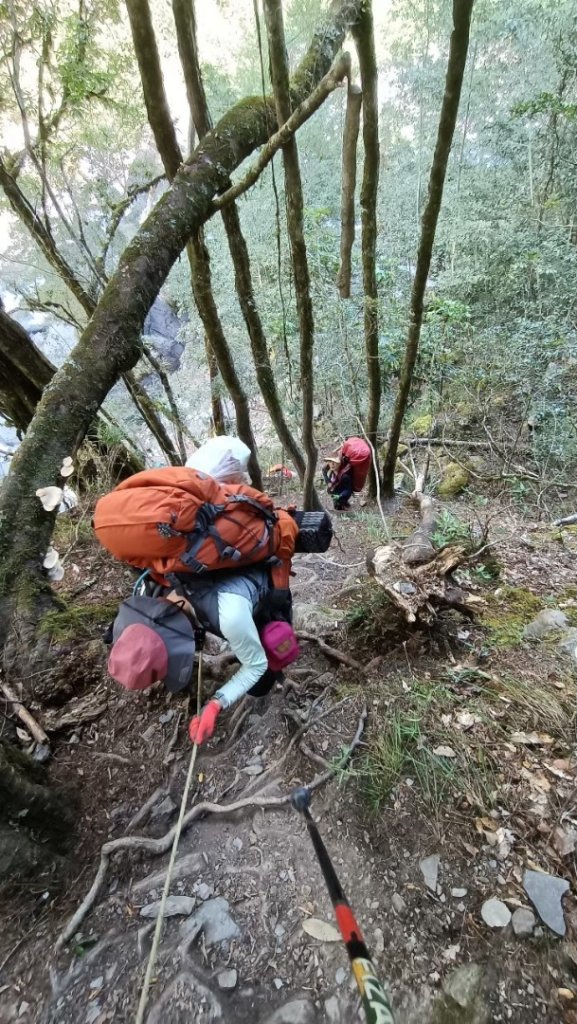 北二段之 甘薯無明_2611877