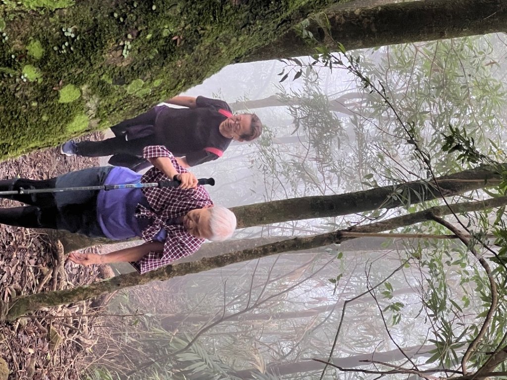 馬那邦山_2641876