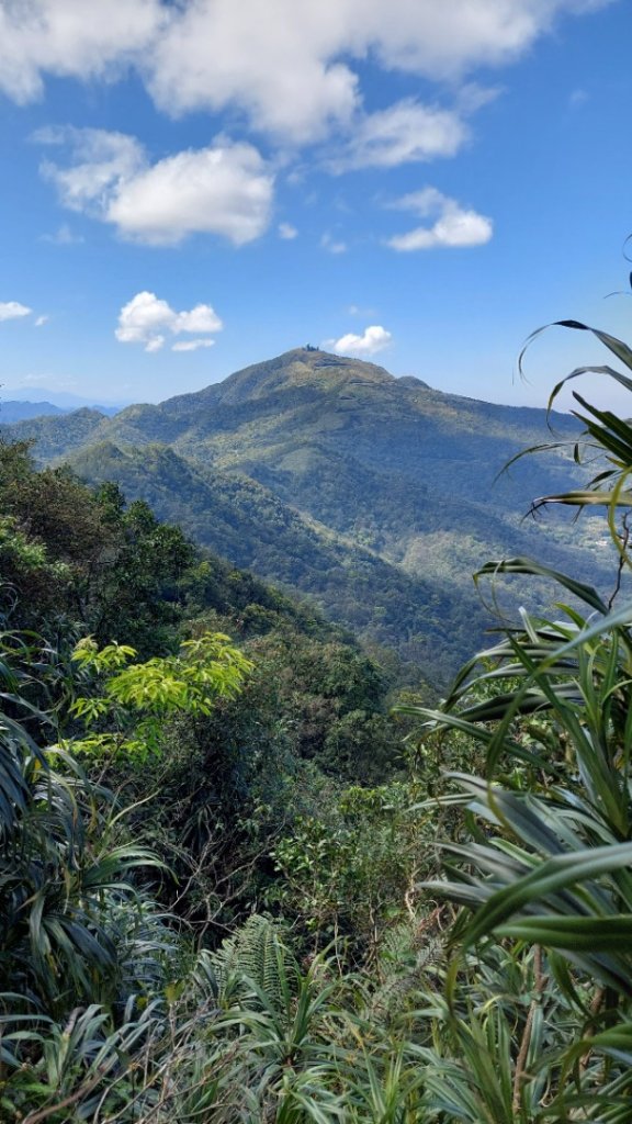 蛇來運轉之蛇年爬蛇山  蛇子形古道-三爪子坑山-蛇子崙山O型_2783979