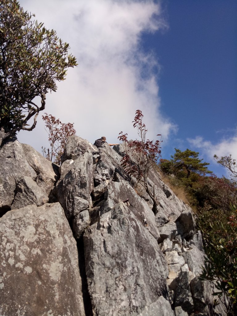 鳶嘴山(三登)稍來山O型走封面圖