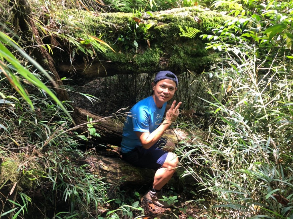 立鷹山.合歡北峰+合歡西峰【全力以赴解鎖_979645