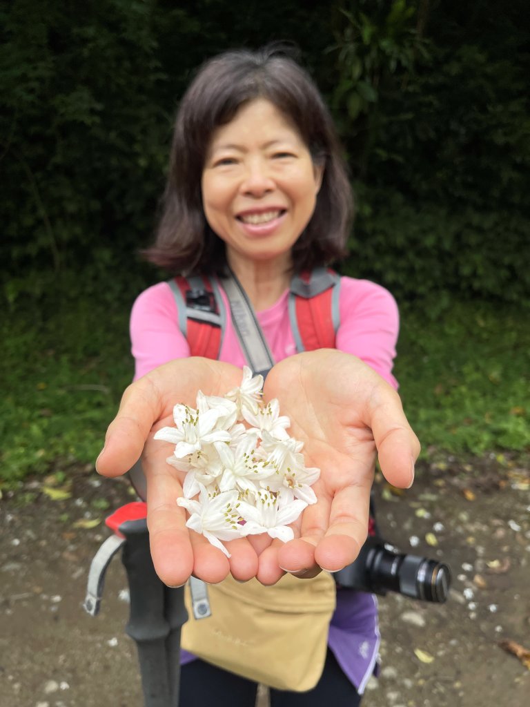 陽明山鹿角坑生態保護區 20240413_2481674