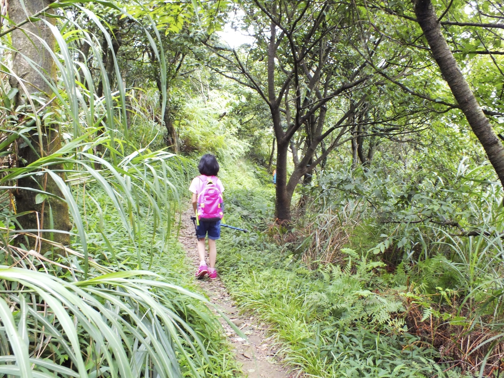 四分尾山----大尖山來回連走_20420