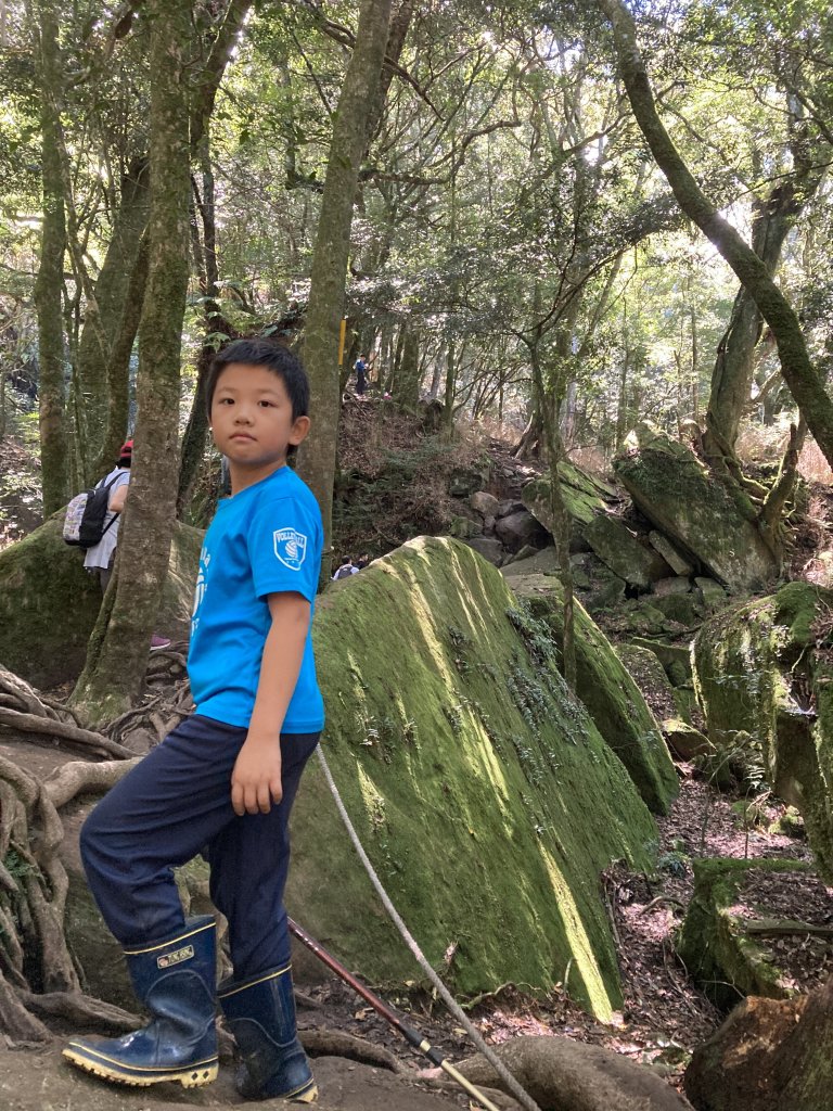 晴空加里山雲裡杜鵑嶺霧裡尋鐵道_1146453