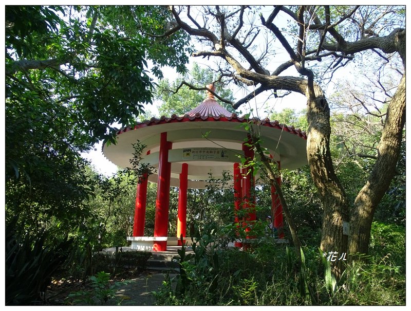 新竹/十八尖山步道_688953