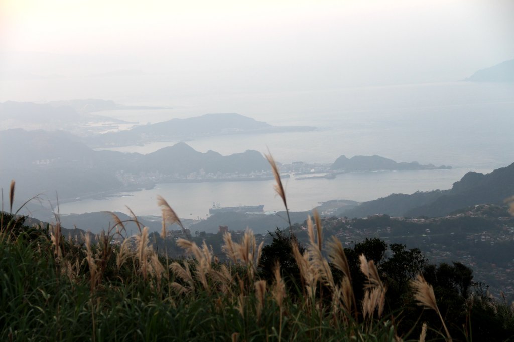 【金瓜石】漫山芒花怒放浪漫，礦山藍海奇景夢幻！_2964266